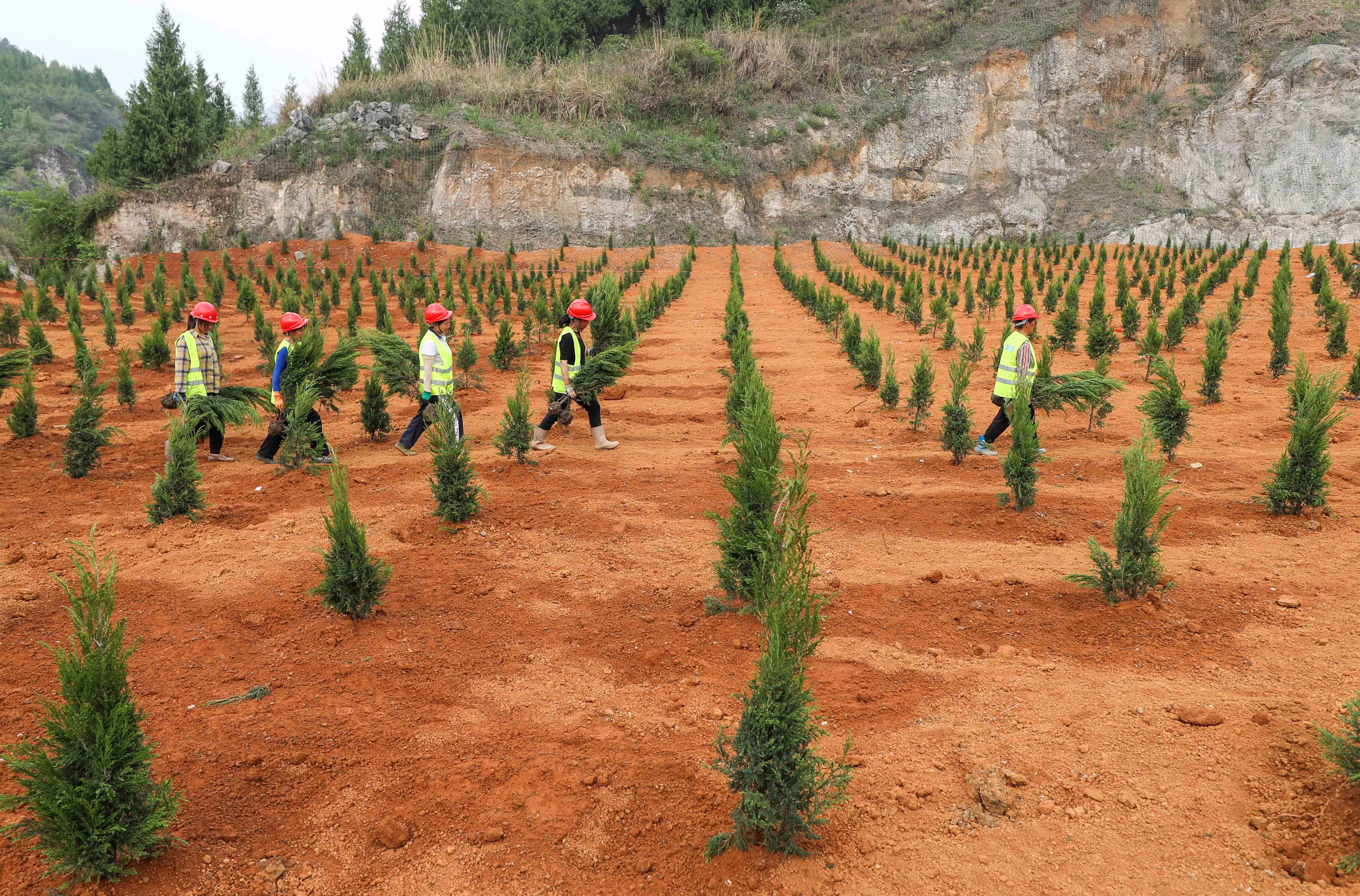Climate goals for officials + Textile sector + Alcohol industry