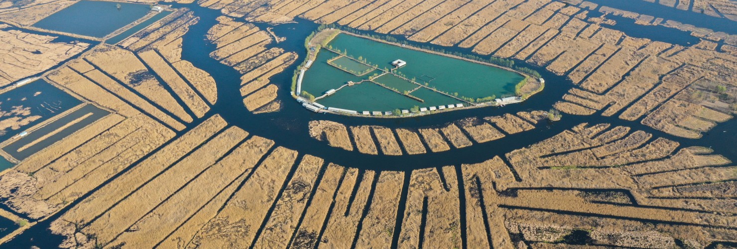 Baiyangdian Lake in Xiongan