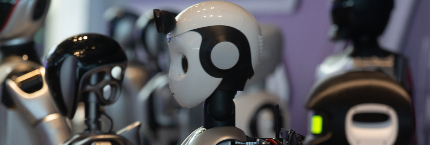 18 Humanoid Robot Vanguard Matrix are being displayed at the entrance of WAIC, World Artificial Intelligence Conference at Shanghai World Expo Exhibition Center in Shanghai, China, on July 5, 2024, during the first public viewing day (Photo by Ying Tang/NurPhoto).