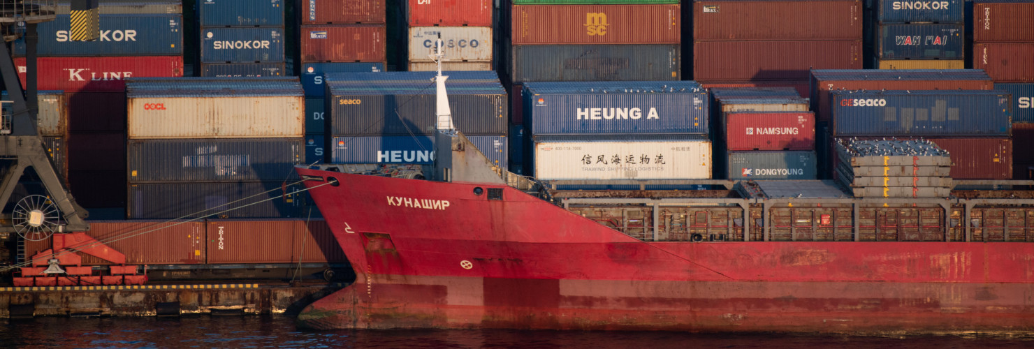 Shipping containers are being loaded onto container ships in the Vladivostok Sea Commercial Port.