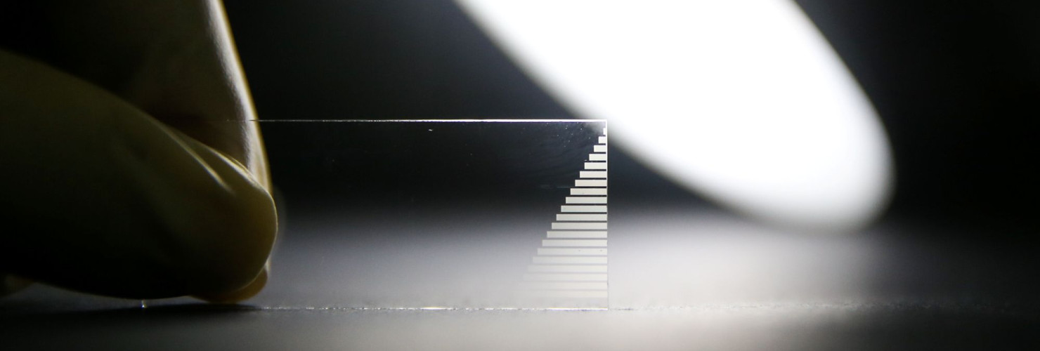Photonic chip