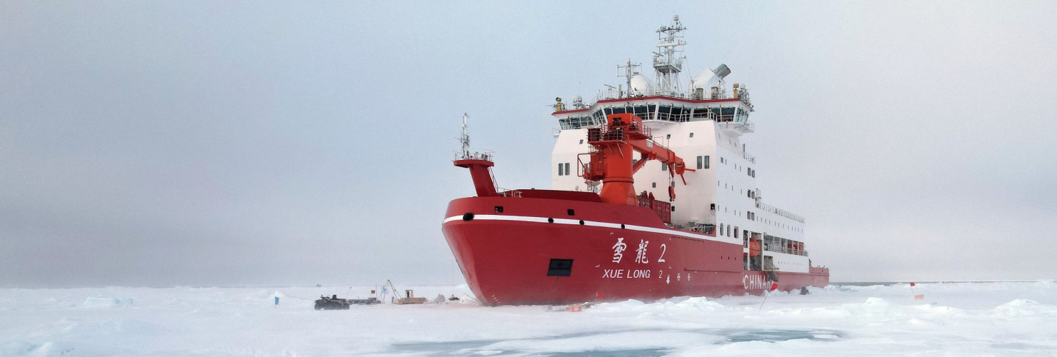 Polar bears walks with her cubs around an ice station operation area in the Arctic on Aug. 31, 2025.