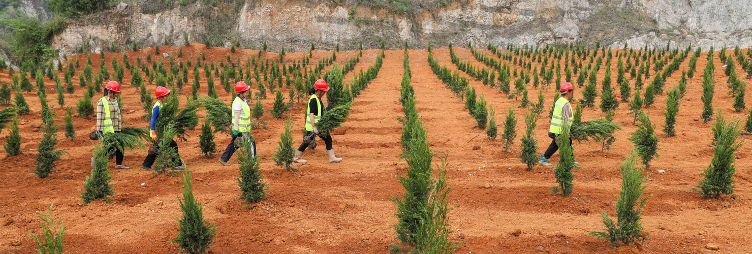 Workers carry plants at an abandoned mine in Tianping village, Guizhou province. In recent years, Guizhou Province has promoted the restoration of the ecological environment of abandoned mines, such as soil covering, afforestation, planting turf and vines, which effectively solved the problems of abandoned land, landslides and environmental damage.