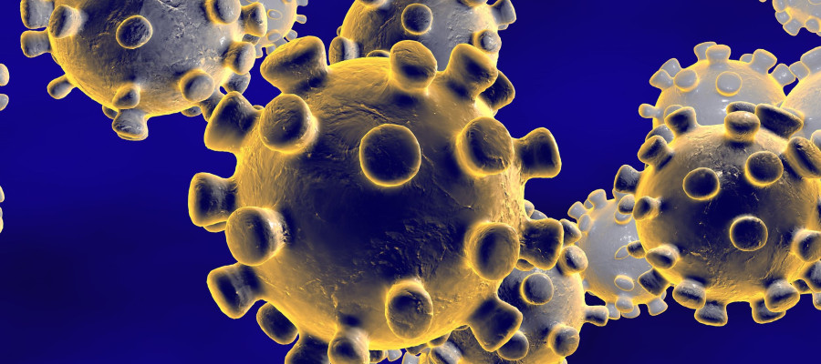 3D illlustration of the coronavirus