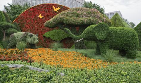 Sculptures of giant panda and African elephant are installed in Beijing to mark the upcoming Summit of the Forum on China-Africa Cooperation (FOCAC) on September 3 and 4.