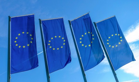 EU flags