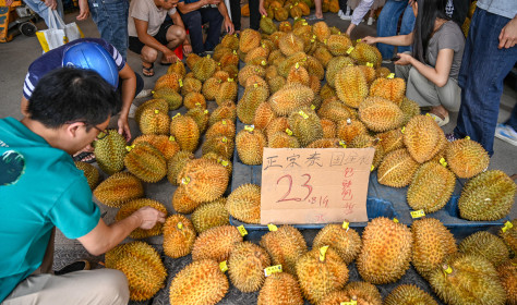 Chinese people buy Thai durians at an international logistics center for agricultural products in Nanning, South China's Guangxi Zhuang autonomous region