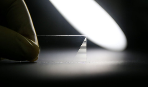 Photonic chip