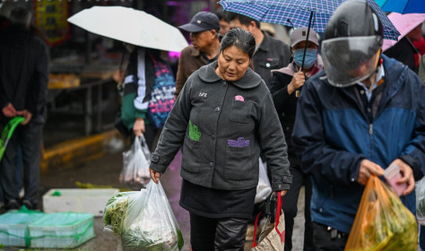 NANJING, CHINA - NOVEMBER 9, 2025 - Citizens shopping at a farmers' market in Nanjing, China's Jiangsu Province on November 9, 2025.