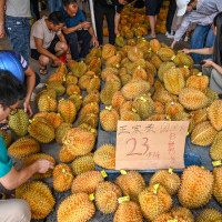 Chinese people buy Thai durians at an international logistics center for agricultural products in Nanning, South China's Guangxi Zhuang autonomous region