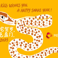 MERICS New Year's Card 2025