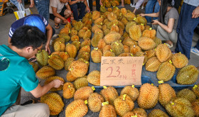 Chinese people buy Thai durians at an international logistics center for agricultural products in Nanning, South China's Guangxi Zhuang autonomous region