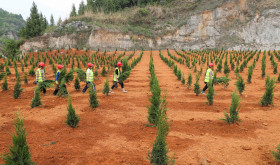Workers carry plants at an abandoned mine in Tianping village, Guizhou province. In recent years, Guizhou Province has promoted the restoration of the ecological environment of abandoned mines, such as soil covering, afforestation, planting turf and vines, which effectively solved the problems of abandoned land, landslides and environmental damage.