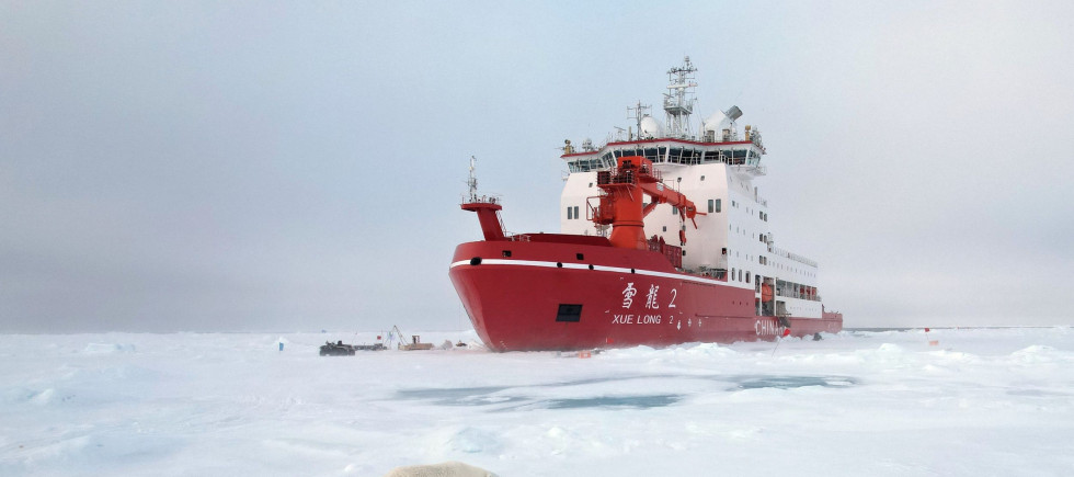 Polar bears walks with her cubs around an ice station operation area in the Arctic on Aug. 31, 2025.