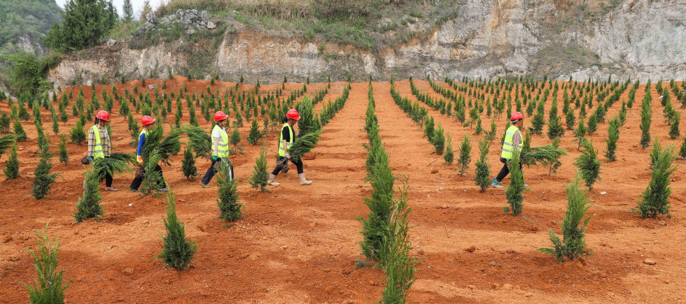Workers carry plants at an abandoned mine in Tianping village, Guizhou province. In recent years, Guizhou Province has promoted the restoration of the ecological environment of abandoned mines, such as soil covering, afforestation, planting turf and vines, which effectively solved the problems of abandoned land, landslides and environmental damage.