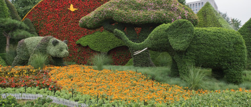 Sculptures of giant panda and African elephant are installed in Beijing to mark the upcoming Summit of the Forum on China-Africa Cooperation (FOCAC) on September 3 and 4.