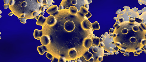 3D illlustration of the coronavirus
