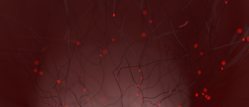 3D illustration of neural networks