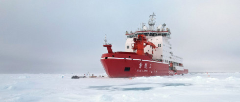 Polar bears walks with her cubs around an ice station operation area in the Arctic on Aug. 31, 2025.