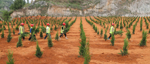 Workers carry plants at an abandoned mine in Tianping village, Guizhou province. In recent years, Guizhou Province has promoted the restoration of the ecological environment of abandoned mines, such as soil covering, afforestation, planting turf and vines, which effectively solved the problems of abandoned land, landslides and environmental damage.
